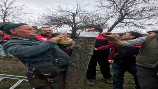 Havranda aşılama eğitimi yapıldı