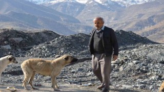 Hayırsever vatandaş sokak köpekleri için 30 kilometre yol kat ediyor
