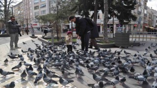 Hayvan sevgisi bu yaşta böyle başlıyor