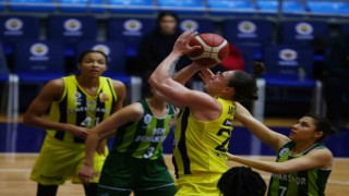 ING Kadınlar Basketbol Süper Ligi: Fenerbahçe: 106 - OGM Ormanspor: 66