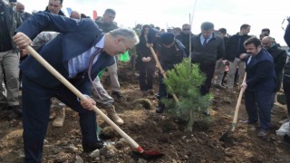 İnönüde 2 bin fidan dikilerek 6 Şubat Deprem Şehitleri Ormanı oluşturuldu