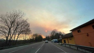 İspanyanın Asturias bölgesinde 60tan fazla orman yangını