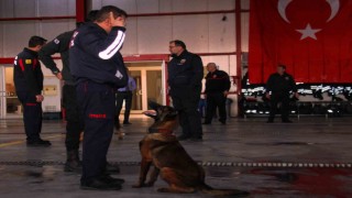 İtfaiye erinin eğittiği arama kurtarma köpekleri 18 kişinin hayatına dokundu