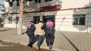 Jandarma ekiplerince yakalanan firari şahıs tutuklandı