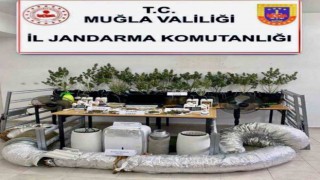 Jandarmadan Dalamanda uyuşturucu operasyonu
