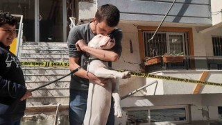 Kahraman köpek Dora, deprem anında kendisini siper ederek sahiplerini korudu
