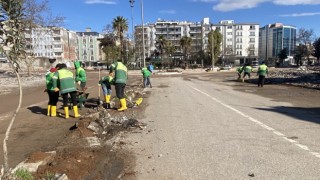 Kaldırımlarda ince temizlik yapılıyor