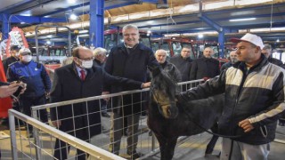 Karacabeyde Gıda, Tarım ve Hayvancılık Fuarı başlıyor