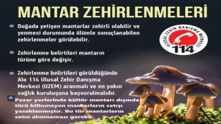 Karacasuda türü bilinmeyen mantarların satışı yasaklandı