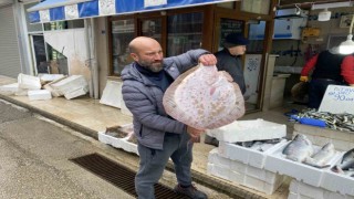 Karadenizde avlanan 8 kiloluk kalkan balığı 5 bin liraya satıldı