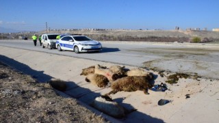 Karamanda iki motosiklet koyun sürüsüne çarptı: 3 yaralı