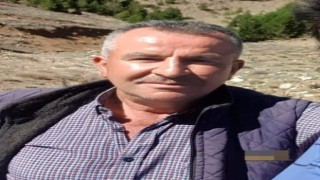 Kestiği ağacın altında can verdi