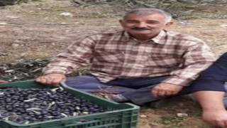 Kestiği ağacın altında kalan şahıs hayatını kaybetti