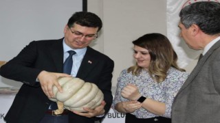 Kırklarelide Vizeli Balkız projesi toplantısı yapıldı