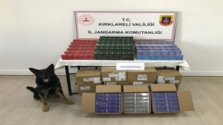 Kırklarelinde 1 ayda 49 şüpheli yakalandı