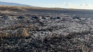 Koruma altındaki Göksu Deltasında çıkan yangın kendiliğinden söndü