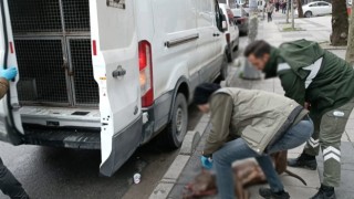 Küçük çocuğa saldıran pitpull cinsi köpeğin sahibi gözaltına alındı