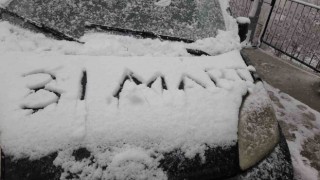Kulp, Mart ayının son gününde beyaza büründü
