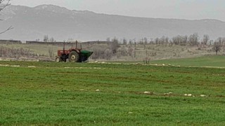 Kulpta çiftçiler ekinlerini gübrelemeye başladı