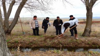 Kuluçkaya yatan kuşlar için 125 söğüt fidanı dikildi