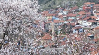 Kütahyada badem ağaçlarının çiçek açması güzel görüntüler oluşturdu