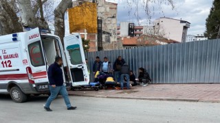 Kütahyada üzerine ağaç dalı düşen adam yaralandı