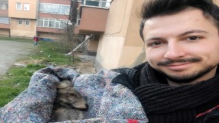 Kütahyalı hayvan sever ormanlık alanda bitkin halde bulduğu tilkiyi hayata döndürdü