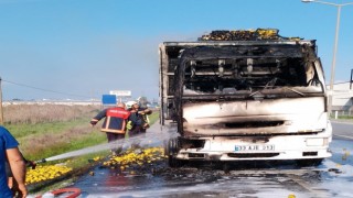 Limon yüklü kamyonda çıkan yangın maddi hasara neden oldu