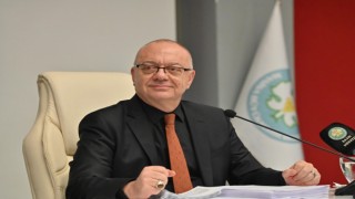 Manisada 58 bin büyükbaş hayvanın dış parazit ilacı büyükşehirden