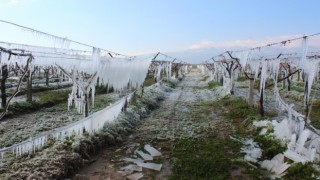 Manisaya kuvvetli yağış, fırtına ve don uyarısı