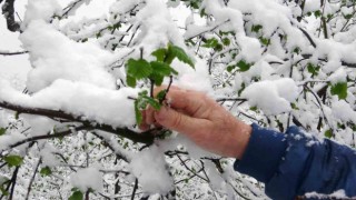 Mart karı fındık üreticisini endişelendirdi