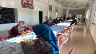 Mersin Büyükşehir Belediyesi 7 bin 500 depremzedeye barınma sağlıyor