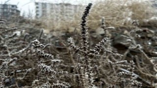 Meteorolojiden zirai don uyarısı