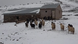 Muşta kar yağışı