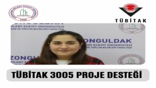 Öğretim Elemanına TÜBİTAK 3005 programı desteği