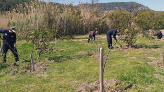 Ortacada çevre temizlik ve düzenlemesi devam ediyor