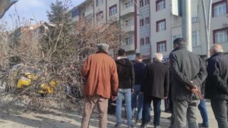 Otomobilin çarptığı ağaç devrildi: 1 yaralı
