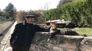 (ÖZEL) Komşularının istemediği kedileri için parka ev yaptı