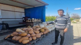 Ramazanın gözde tatlısının yapıldığı bal kabağına talep arttı