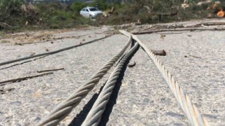 Rüzgarda devrilen asırlık ağaç yolu ulaşıma kapattı