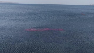 Rüzgarda Van Gölüne düşen dev Türk bayrağı Sahil Güvenlik ekiplerince çıkarıldı