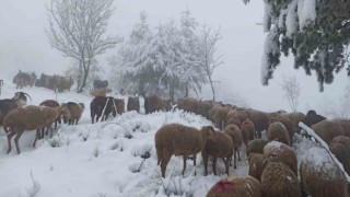 Sakaryada yüksek kesimlerde kar yağışı etkili oluyor