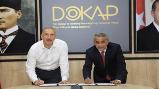 Samsunda 250 dekar alanda zeytin bahçesi kurulacak