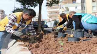 Şanlıurfada çiçek ekimi yapıldı