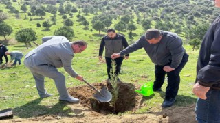 Sarıgölde Nevruz Bayramı kutlamaları