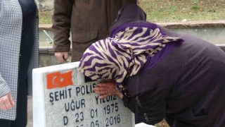 Şehit annesi, oğlunu kabrindeki fotoğrafını öperek sevdi