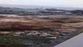 Şiddetli yağış sonrası çay coştu