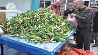 Şifa kaynağı Çiriş otu tezgahlardaki yerini aldı