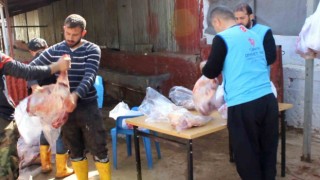 Siirtte 185 depremzede aileye et dağıtıldı