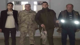 Siirtte kaçak avcılara geçit yok